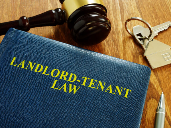 Landlord Tenant laws in New York State guide the eviction process